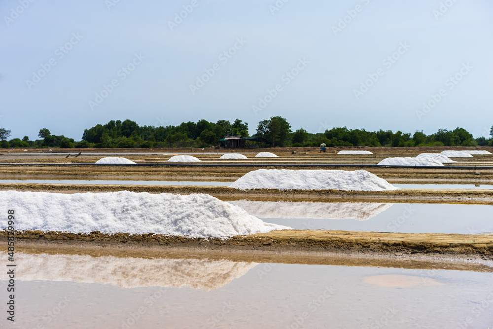 salt field