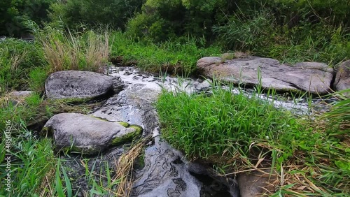 a flowing stream in a mountain valley a raging river among stones overgrown with reeds swaying from the wind in cloudy weather in the wild.