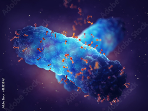 Fotografie Bacteriophages (bacterial viruses) attacking bacteria