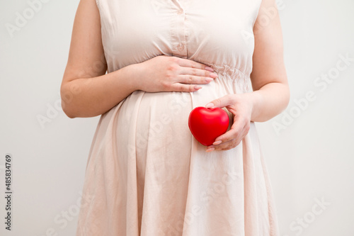 Pregnancy cand motherhood concept banner. Pregnant woman holding heart.Valentine's or mother's day photo