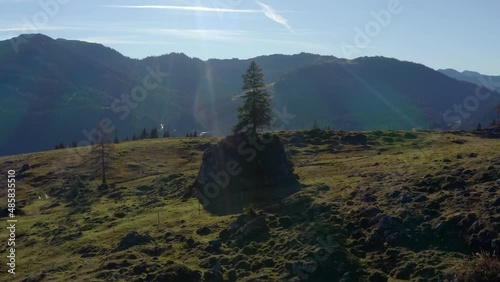 Aerial View of Tree exposed on Rock, Austrian Alps photo