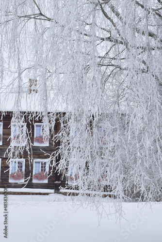 Beautiful winter nature. The tree is covered with frost. 