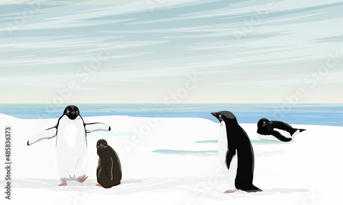 A flock of Adelie Penguin stands on the ocean shore. Birds of the South Poles. Realistic vector landscape