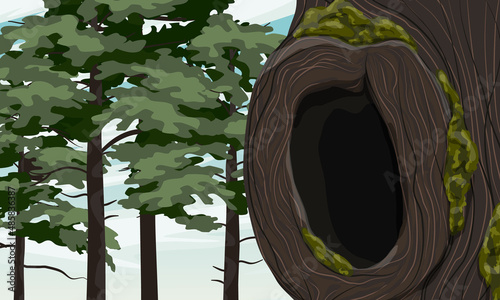 A hollow in an old mossy tree. Pine forest. Realistic vector landscape
