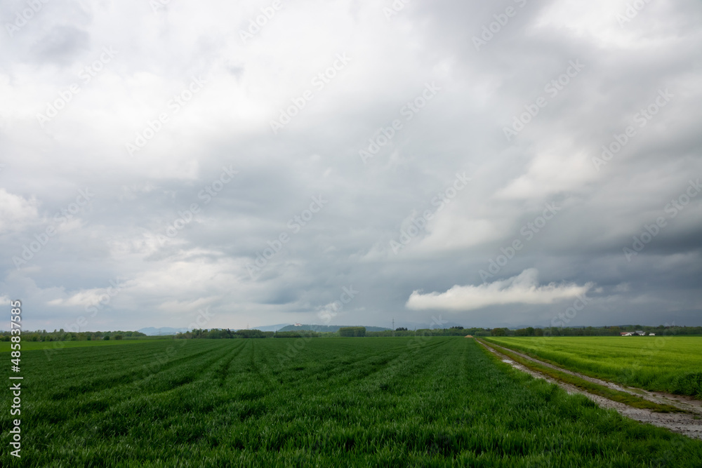 impending squall with rain, impending hurricane, impending rain, approaching storm, Prairie Storm, the storm is coming, approaching storm, thunderstorm, tornado, mesocyclone, climate, Shelf cloud impending squall with rain, impending hurricane, impending rain, approaching storm, Prairie Storm, the storm is coming, approaching storm, thunderstorm, tornado, mesocyclone, climate, Shelf cloud