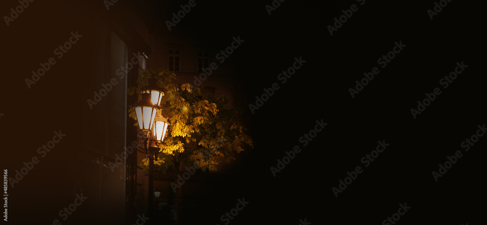 Lantern and tree on the city street. Night horizontal nature copy space background. Lantern and tree on the city street. Night horizontal nature copy space background.