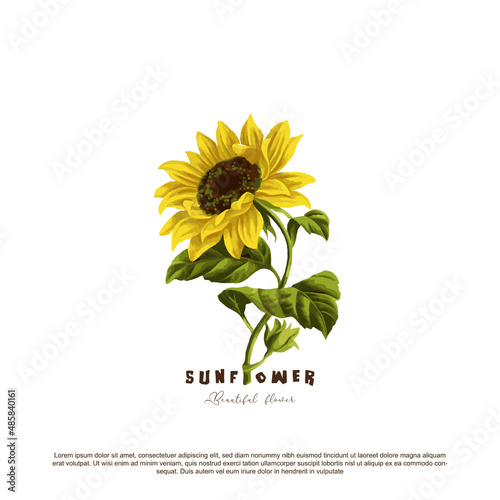 Beautiful Sunflower hand drawn vector illustration
