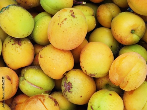 A basket of fresh apricots.