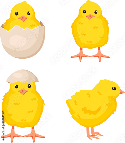 Set of cute baby chickens in different poses for easter design isolated on white background