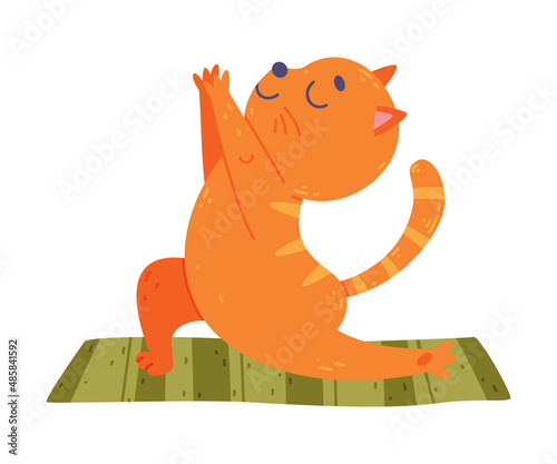 Funny Cat Animal on Yoga Mat Practicing Asana and Stretching Vector Illustration
