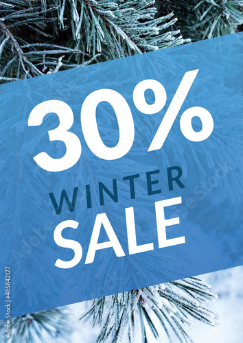 Winter sale 30% photo