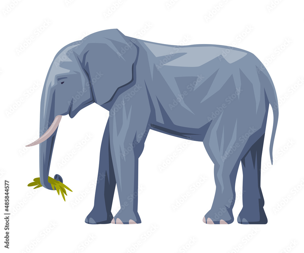 Fototapeta premium Elephant with Trunk and Tusk as Bali Traditional Animal Vector Illustration
