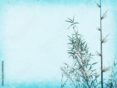 Silhouette of branches of a bamboo on old paper background