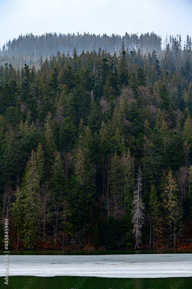 Panorama of Lake Synevyr, a picturesque mountain lake, a lake in the mountains. Panorama of Lake Synevyr, a picturesque mountain lake, a lake in the mountains.