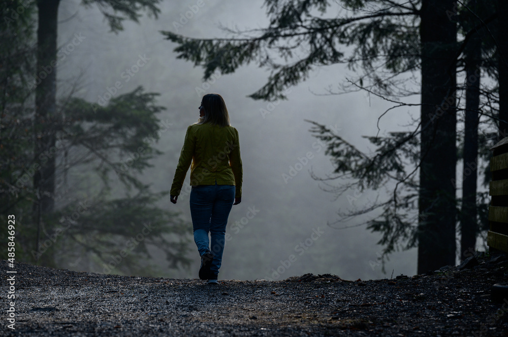 A woman like a ghost walks through the misty forest, the fear and mystery of the fog in the woods.