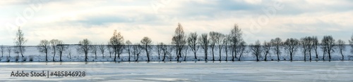 Beautiful snowy landscape on the river along the forest. Panorama of the coastal line in winter. Horizontal panorama of growing trees on the lake shore and clouds on a sunny winter day. © Pokoman