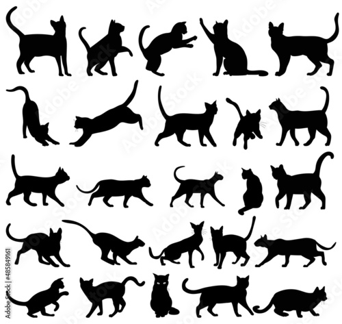 Fototapeta Naklejka Na Ścianę i Meble -  cats set silhouette ,on white background, vector