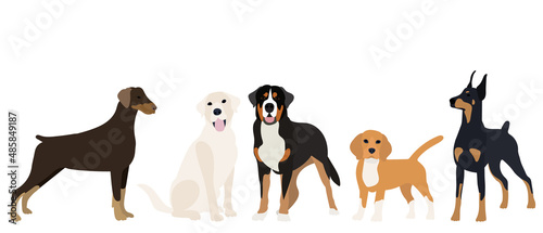 dogs flat design on white background