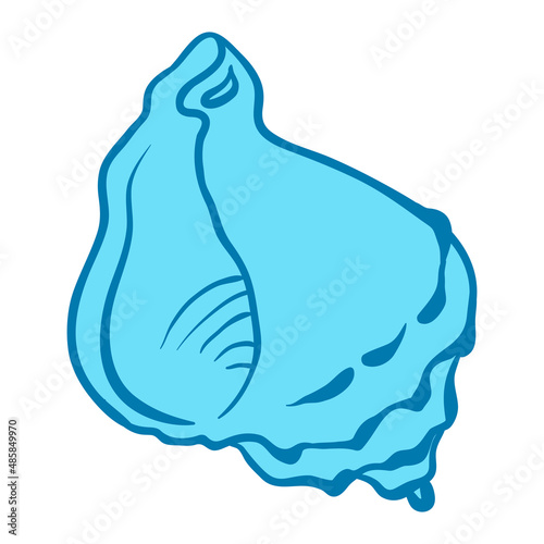 Stylized illustration of shell. Marine fauna and wildlife.