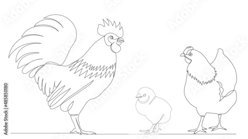 rooster, hen and chick outline in one line,vector