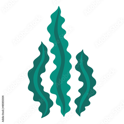 Stylized illustration of algae. Marine flora and natura.