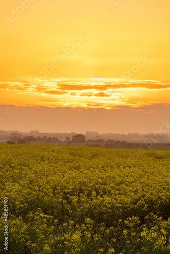 sunset over the field © Ignacio