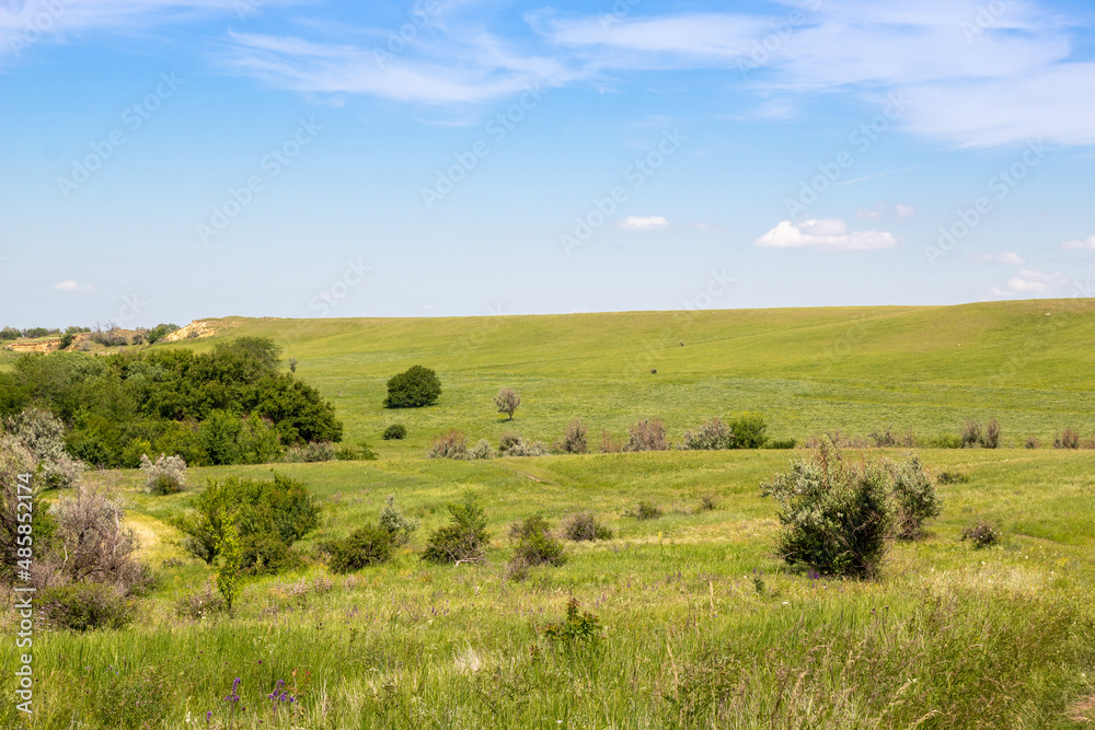Blue sky and hill with green meadow. Rural area. Image for nature websites. Selective focus.