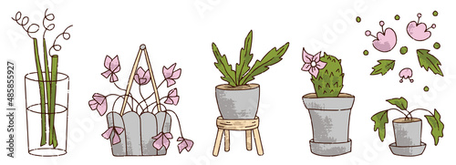 Hand drawn flower pot set for florist shop, cactus, dracaena in color isolated on white background, concept for sticker, card, banner. Floristry handicraft on white. Hand drawn vector illustration