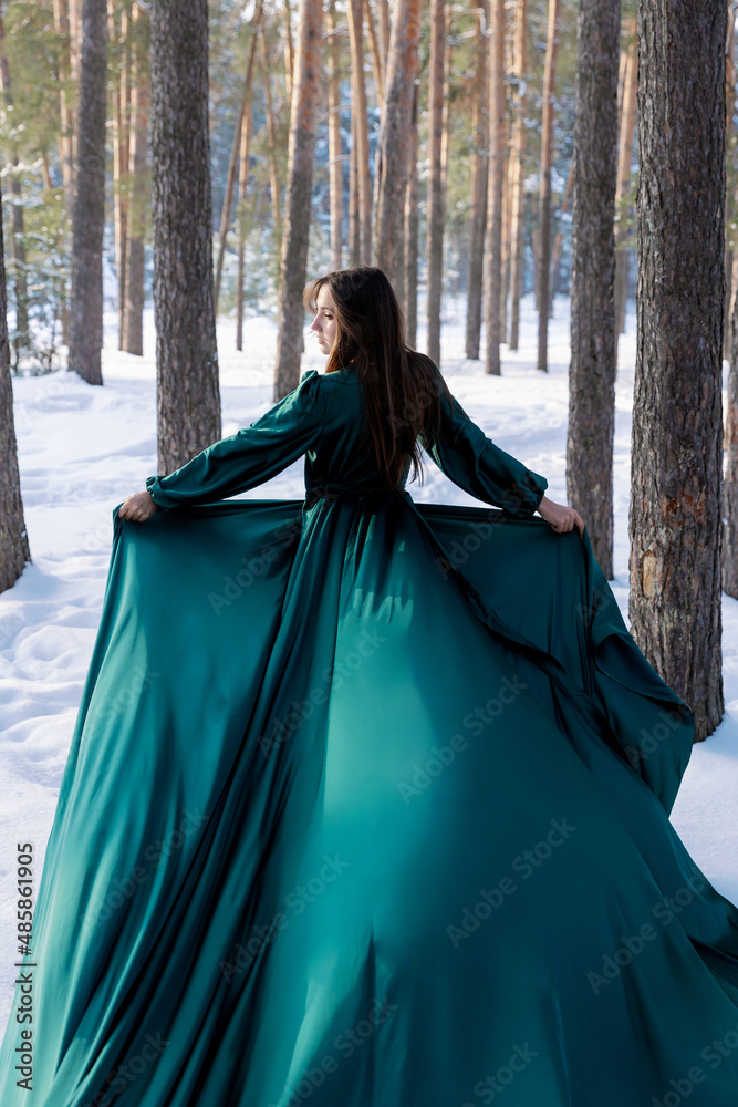 Naklejka premium A young woman in a long dress of emerald color is standing with her back against the background of frozen winter forest. Girl in a romantic image among the pine trees
