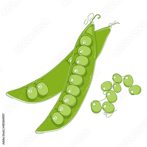Green peas isolated on white. Vegetable in flat design