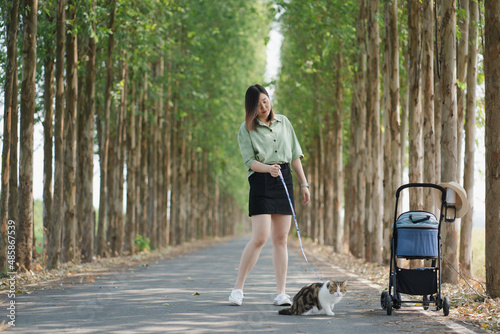 asian woman travel with her cat in cart on spring season