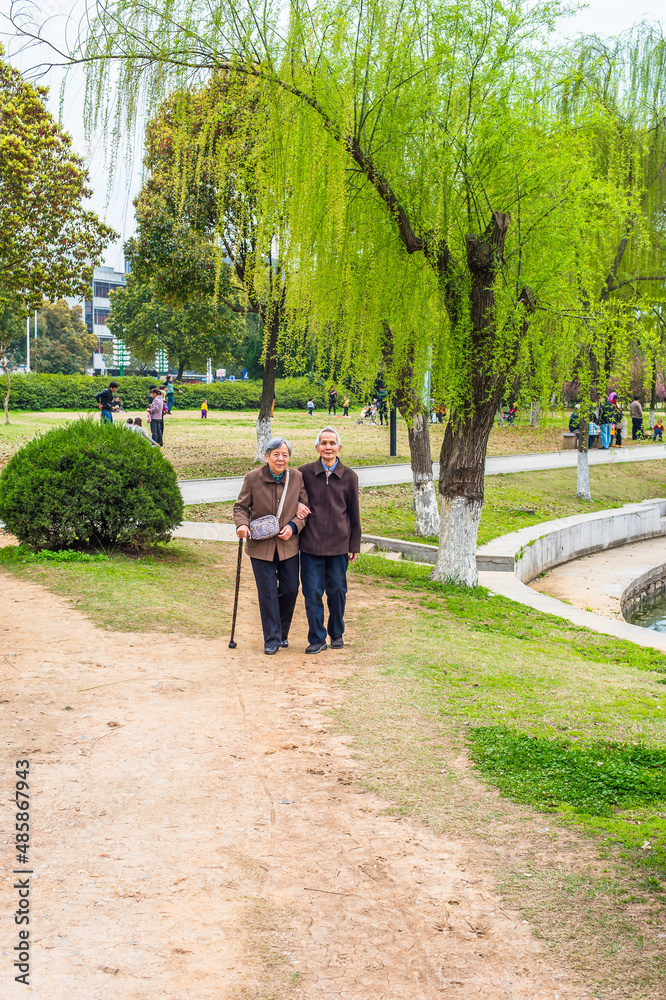 Fototapeta premium Senior Man and Woman Walking Outside. A senior couple, 80 years old, helping each other, arm in arm, is walking on a park, woman holding a walking stick..