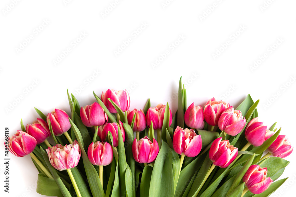 Bouquet of pink tulips on white background. Mothers day, Valentines Day, Birthday celebration concept. Greeting card. Copy space for text, top view Bouquet of pink tulips on white background. Mothers day, Valentines Day, Birthday celebration concept. Greeting card. Copy space for text, top view