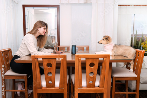 young blonde woman sitting in the dining table looking at her puppy collie dog sitting in the chair right in front of her. High quality photo © carlos