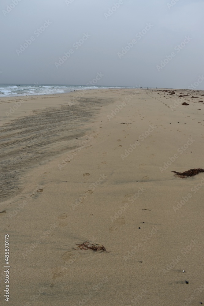 A sandy beach on the island of Fuerteventura
A sandy beach on the island of Fuerteventura