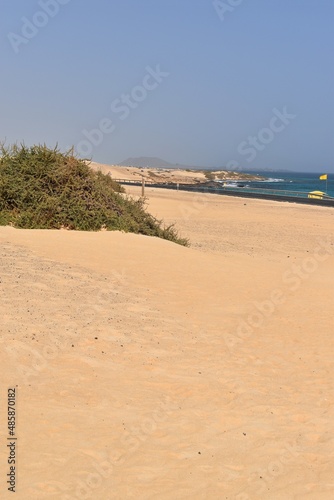 Famous dunes of Corralejo in the island of Fuerteventura