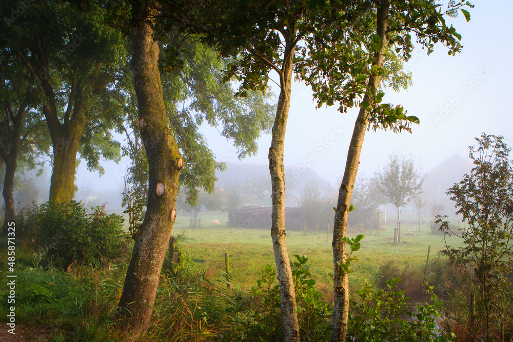 Farm with trees in mist