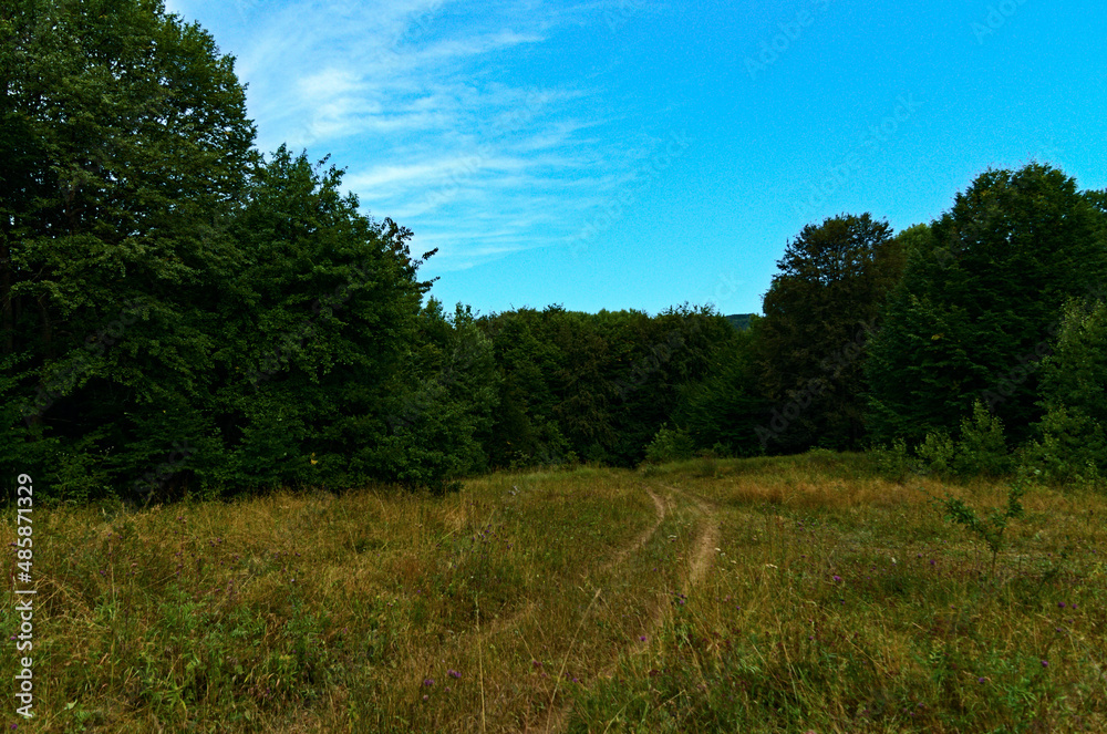 Fototapeta premium _IGP20120803Pn30