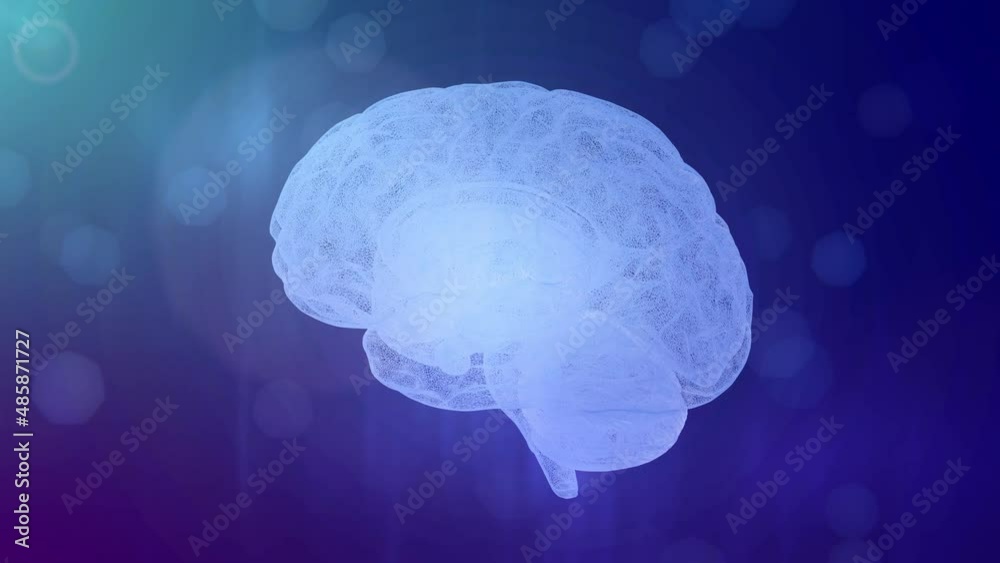 Brain rotate. Human brain rotating against a dark background, animation ...