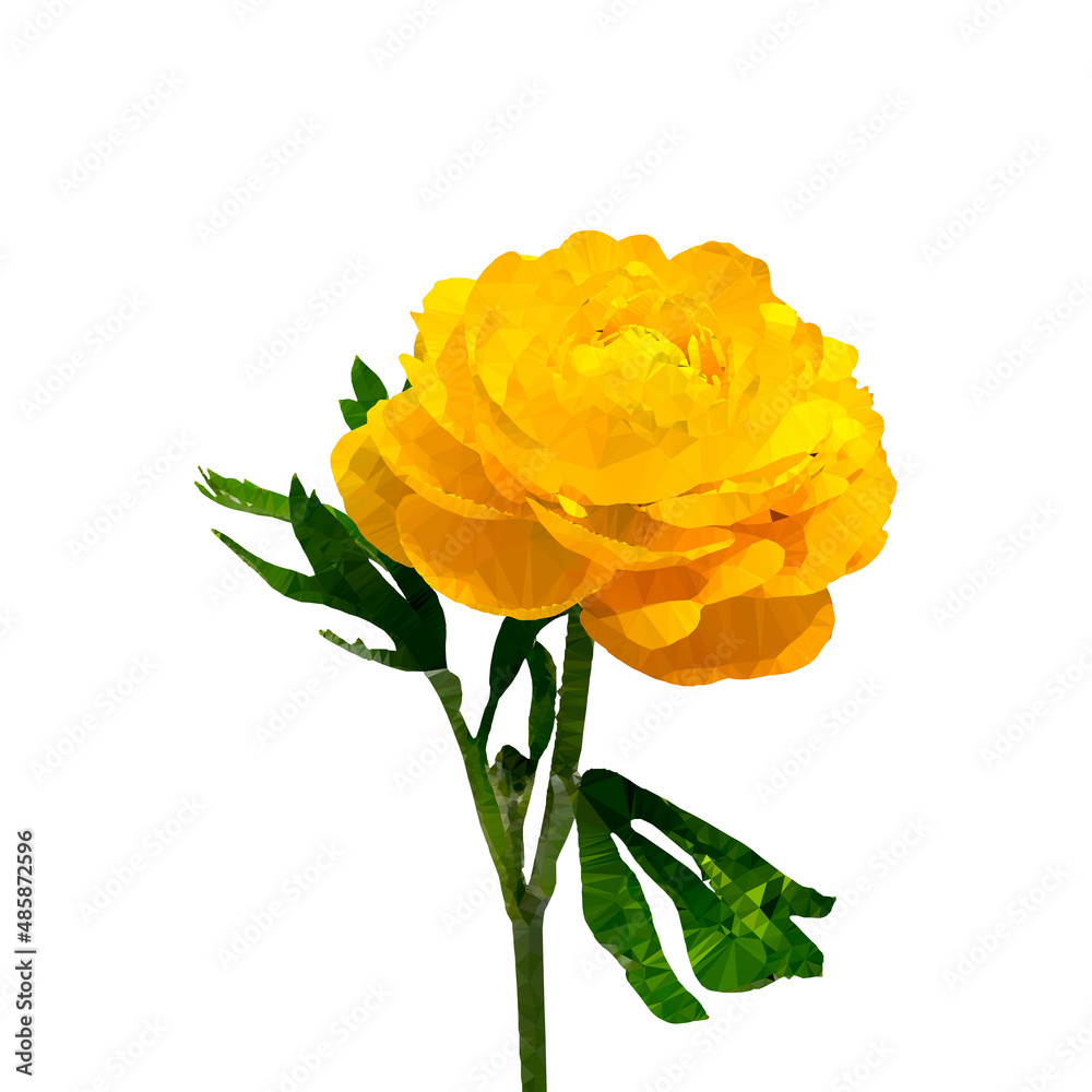 Obraz premium Vector, Stylized Image of a Primrose Flower (Russian Name) In Yellow, Drawn by Triangulation On a White Background. Can Be Used On Valentine's Day
