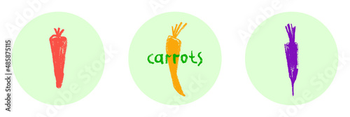 Vector carrot icon isolated. Textured hand-drawn carrots illustration. Vegetarian restaurant symbol. Home cooking sign. Vegetable drawings for organic food label, juice packaging, vegan cosmetics.