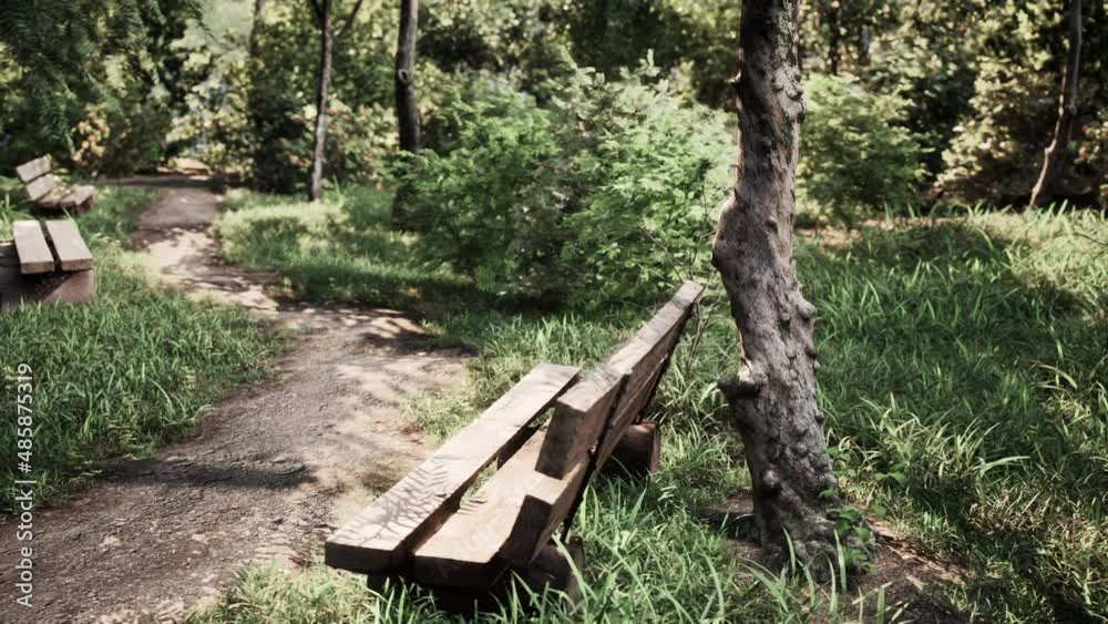 beautiful bench in the park at spring sunny day beautiful bench in the park at spring sunny day