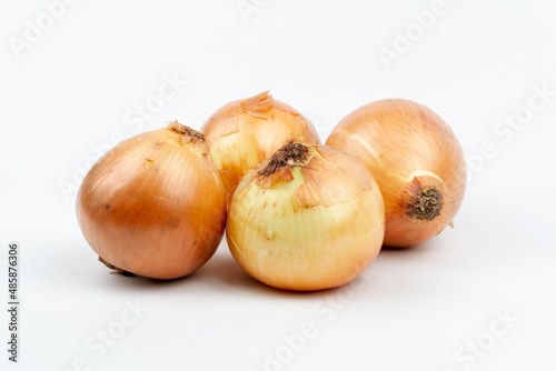 Four Fresh onions on a white background  close up on front view