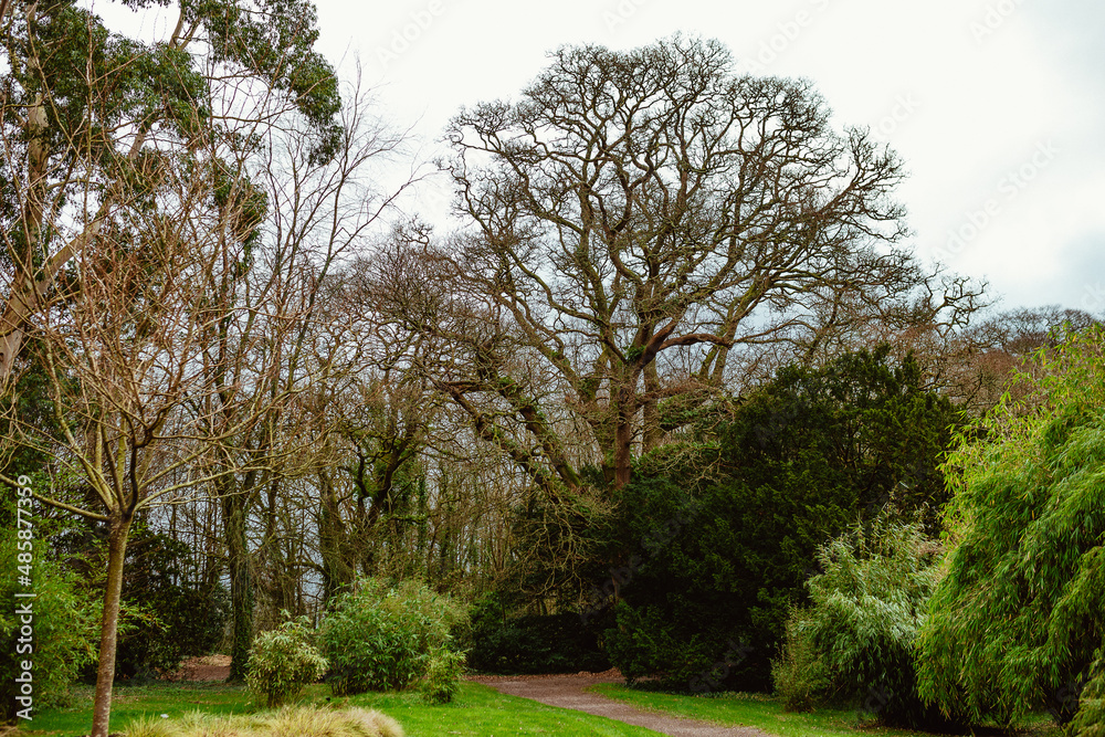 Blarney Castle and Gardens