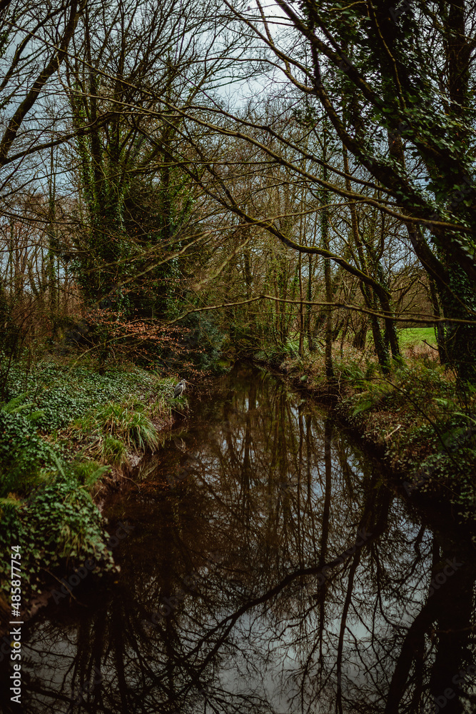 Blarney Castle and Gardens