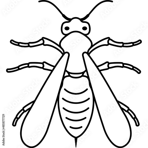 Wasp with a top view