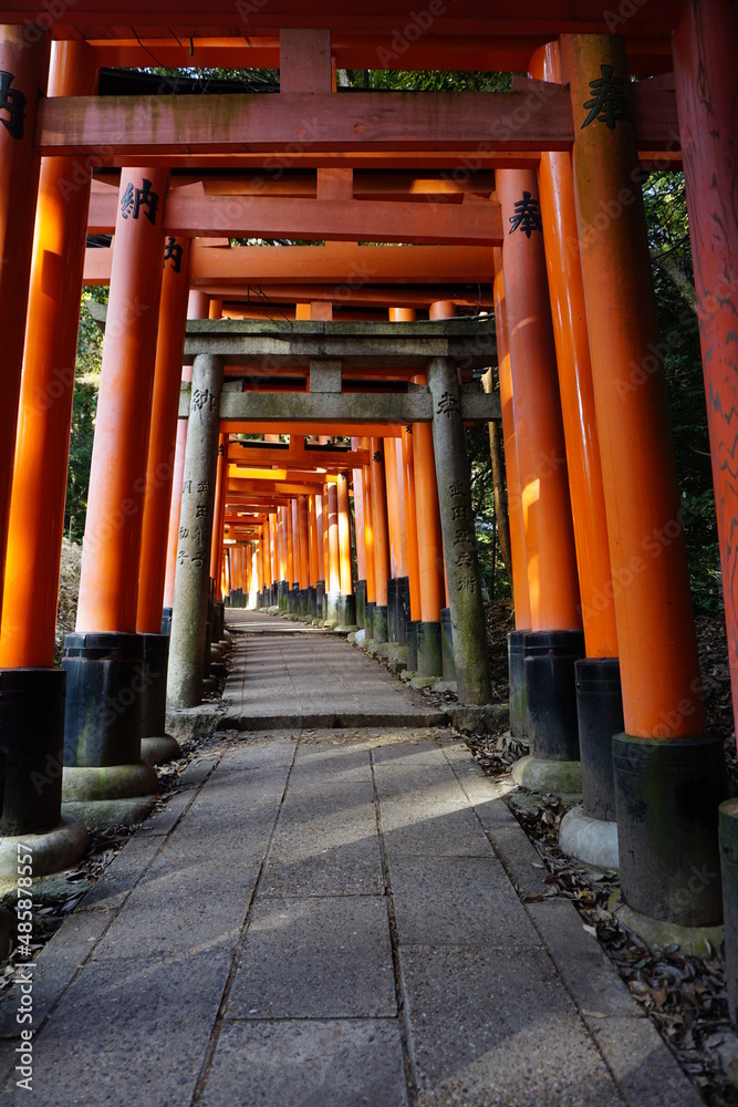 Solitude at the Fushimi Inari-taisha Shrine in Kyoto, Japan Solitude at the Fushimi Inari-taisha Shrine in Kyoto, Japan