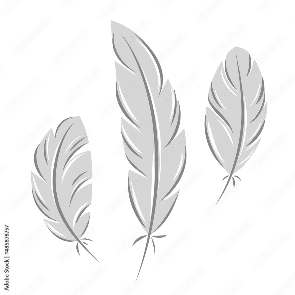 Set of bird feathers. Plumelet collection. Vector illustration Isolated on white.