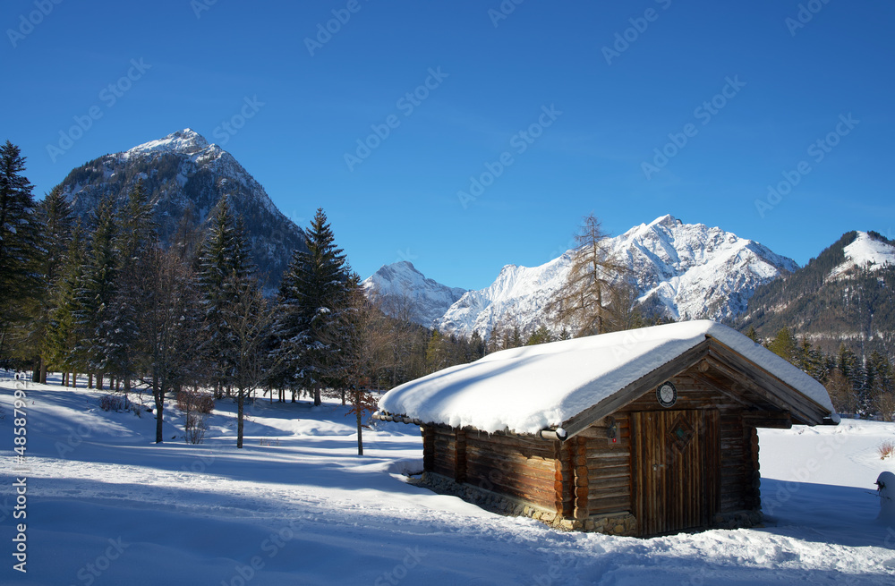 Snow-covered wooden hut surrounded by pine trees in a winter mountain landscape