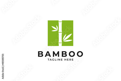 bamboo tree with square design logo vector